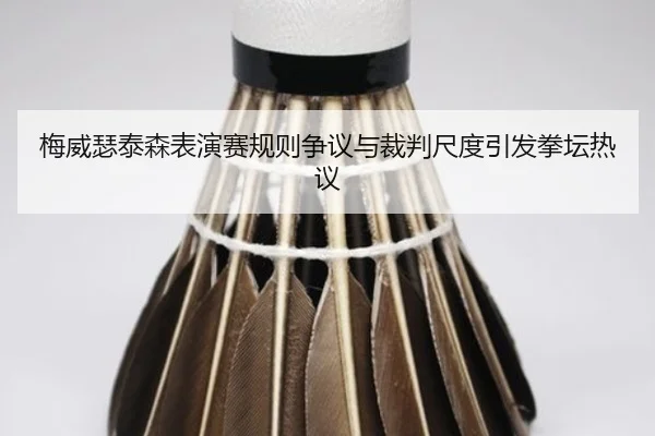 梅威瑟泰森表演赛规则争议与裁判尺度引发拳坛热议