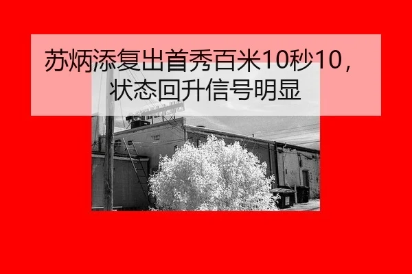 su-bing-tian-fu-chu-shou-xiu-bai-mi-miao-zhuang-tai-hui-sheng-xin-hao-ming-xian-3-192.jpg